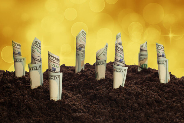 Dólares americanos crescendo em abstratas estrelas douradas fundo bokeh. Conceito de lucro, dividendos, rendimentos e ganhos
 - Foto, Imagem