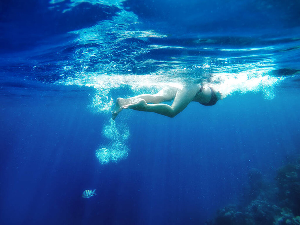 scenic underwater shot of man diving with snorkel in blue ocean - Photo, image