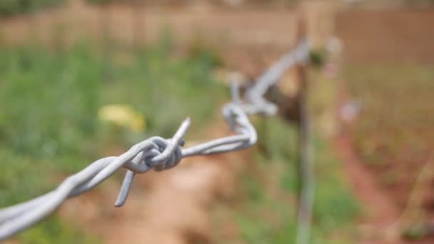 Barbed wire on the fence - Footage, Video
