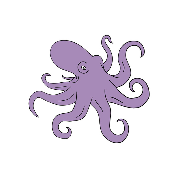 vector illustration of octopus cartoon - Vetor, Imagem