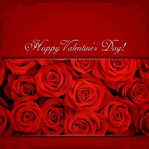 Buon San Valentino & rose rosse
 - Foto, immagini