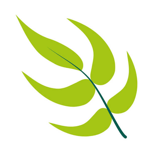 значок листя геліонії, плоский стиль
 - Вектор, зображення