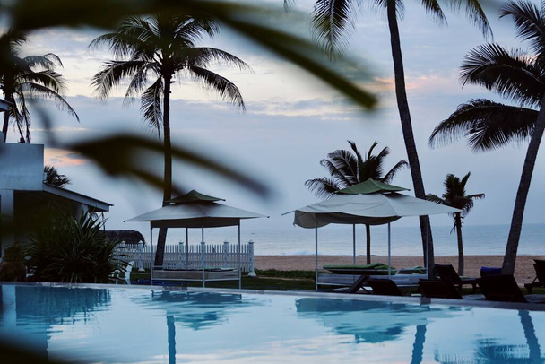 Vista sobre a piscina e palmeiras no oceano de praia
 - Foto, Imagem
