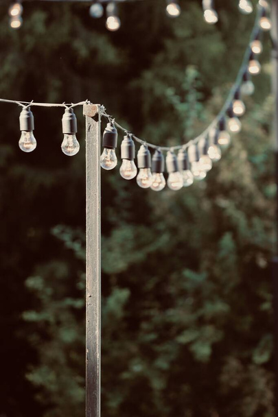 Ampoules lumineuses décoratives dans le jardin naturel en été  - Photo, image