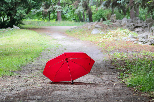 Μια φωτογραφία μιας κόκκινης ομπρέλας σε ένα άδειο καλοκαιρινό πάρκο - Φωτογραφία, εικόνα
