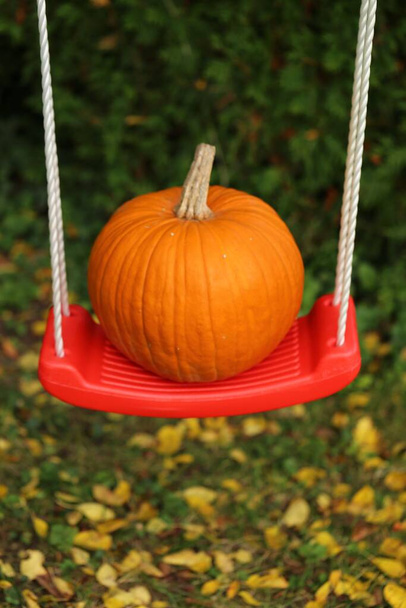 Calabaza en sombrero de Halloween al aire libre - Foto, Imagen
