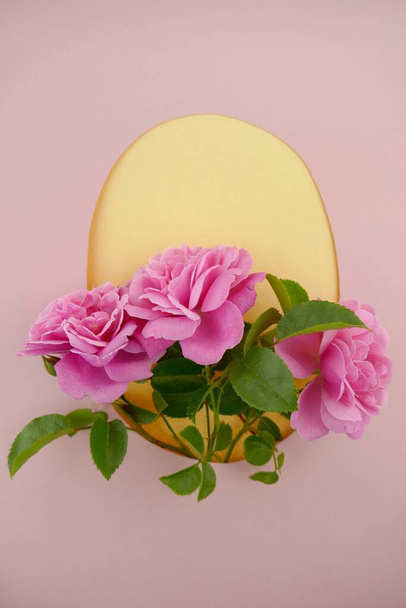 Розовый цветок Розовый нежный розовый крупный план
 - Фото, изображение
