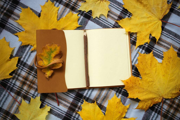 bloco de notas e folhas caídas, visão de fundo outono - Foto, Imagem