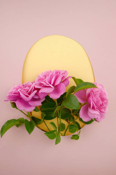 Λουλούδι τριαντάφυλλο. Ροζ τρυφερό τριαντάφυλλο close-up - Φωτογραφία, εικόνα