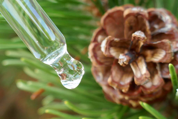 Ефірна олія ялина. олія в піпетці і гілка ялинки з конусом
 - Фото, зображення