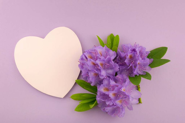 Flower card.purple rhododendron flowers - Photo, Image
