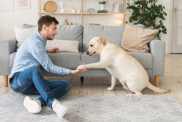Yakışıklı bir adam oturma odasında köpeğiyle oynuyor. - Fotoğraf, Görsel