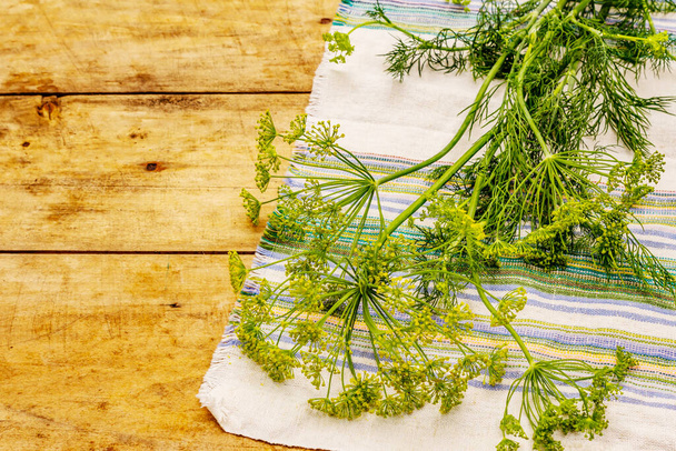 Fresh young dill, inflorescences and its greens. Traditional ingredient for cooking. Old wooden background - Photo, Image