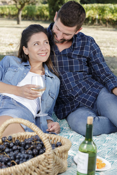 cute couple drinking wine on a picnic - Фото, изображение