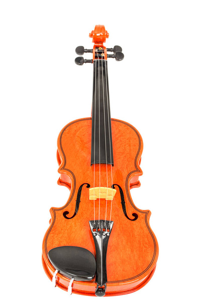 白い背景に隔離されたバイオリン - 写真・画像