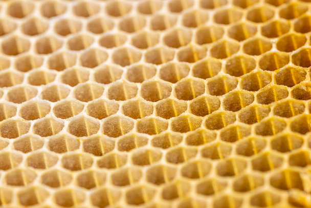 honeycomb seamless pattern background no bee - Photo, Image