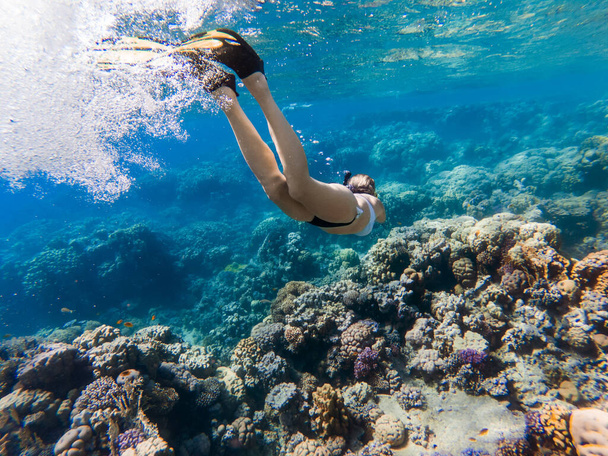 girl freediver dives into the sea - Photo, image