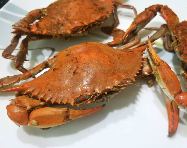 Gros plan de crabes bleus cuits saupoudrés de sel et de vieux assaisonnement de baie - Photo, image