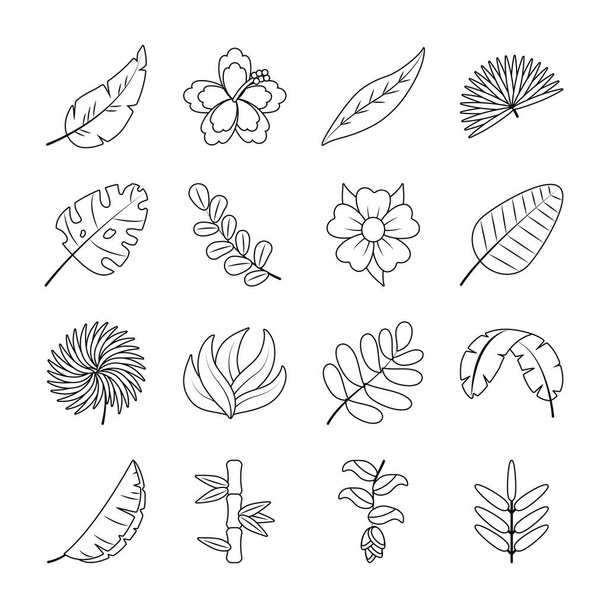 λουλούδια και τροπικά φύλλα εικονίδιο σύνολο, γραμμή στυλ - Διάνυσμα, εικόνα