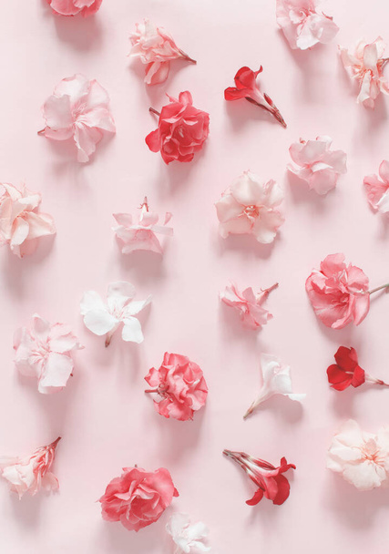 Flores cor de rosa em um fundo rosa vista superior - Foto, Imagem