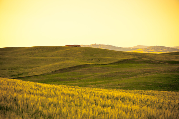Ao ar livre paisagem colinas de ouro toscana ao pôr do sol
 - Foto, Imagem