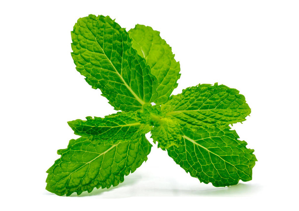 Fresh raw mint leaves isolated on white background with clipping path - Photo, Image