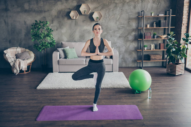 Full size photo of focused inspired active athlete girl train asana aura exercise meditate stand one leg mat in house indoors - Foto, Imagem
