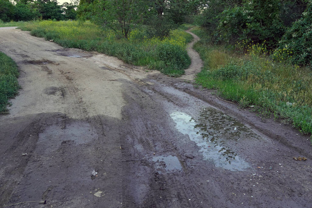 földút pocsolyával és sárral egy üres telken - Fotó, kép