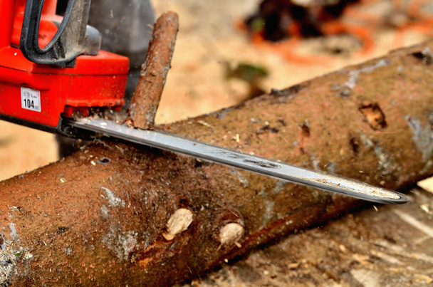 Detalhe de uma cadeia de motosserra ao cortar ramos de um tronco de árvore
 - Foto, Imagem