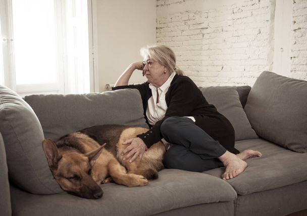 Depressed senior old woman crying on couch with pet dog as only Companion. Sad and tired widower amid COVID-19 pandemic. Coronavirus death, lockdown, social distancing and Mental health. - Фото, изображение
