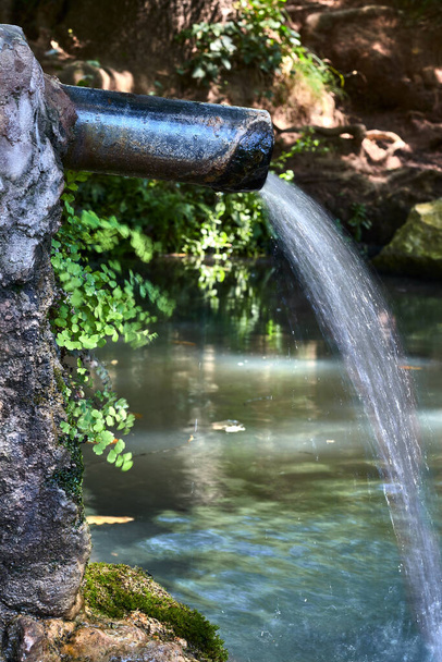 Vesilähde keskellä metsää - Valokuva, kuva