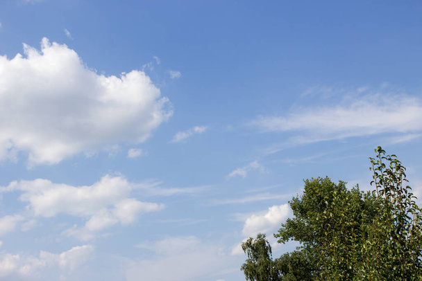 Valkoinen kihara pilvet sininen taivas, vihreä puu taivaalla tausta - Valokuva, kuva