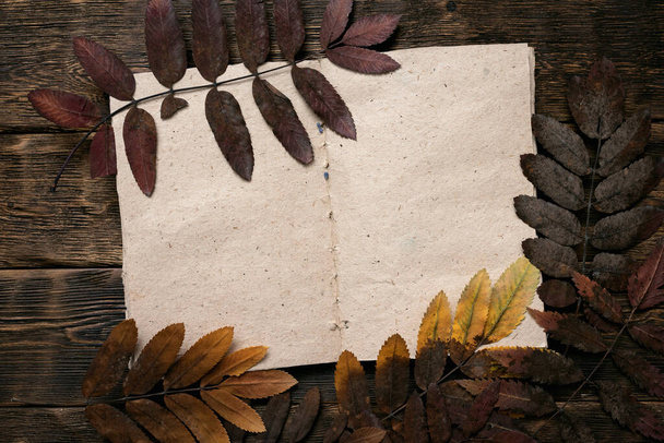 Open book with blank pages and a dried fallen leaves of rowan tree on a brown wooden table background. Vintage photo album. - Фото, изображение