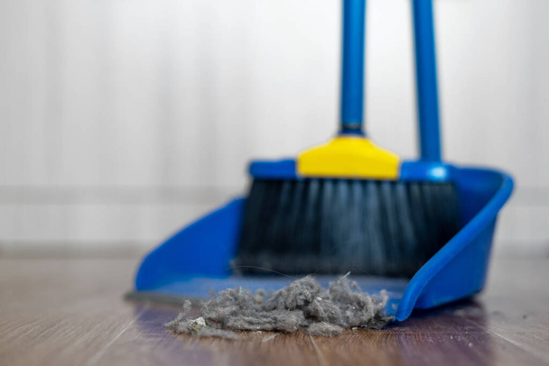 Sweeping brush and a dust on a floor. - Fotoğraf, Görsel