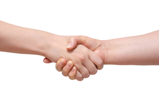 Handshake isolated on the white background. - Foto, afbeelding