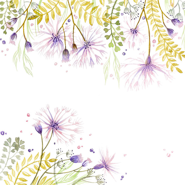Hojas con flores silvestres de color lila esponjosas, sobre un fondo blanco, acuarela, hechas a mano
 - Foto, Imagen