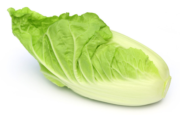 Fresh chinese cabbage - Photo, Image