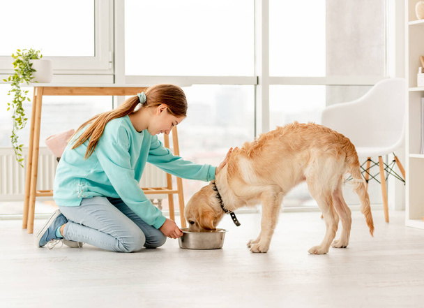 Cheerful owner feeding cute dog - Valokuva, kuva