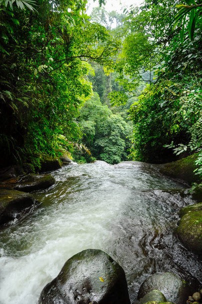 Beautiful river with black rocks passing through in the Indonesian jungle to become a waterfall - Valokuva, kuva