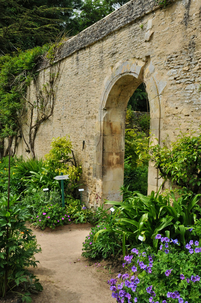 Franciaország, Normandia canon castle garden - Fotó, kép
