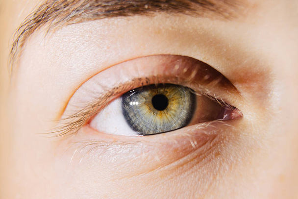 Macro d'un oeil. L "œil humain avec un débordement de couleurs allant du brun clair au vert clair. - Photo, image