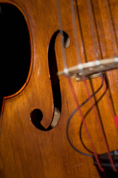 gyönyörű barna nagybőgő hangszer alakításában háttér - Fotó, kép