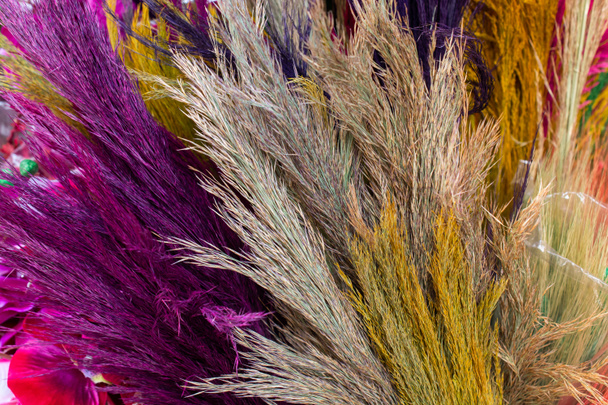 geverfd droge kleurrijke bloem voor doceratie doeleinden - Foto, afbeelding