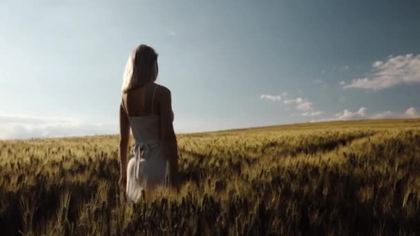Video of blonde woman with suitcase at wheat field in summer time - Footage, Video