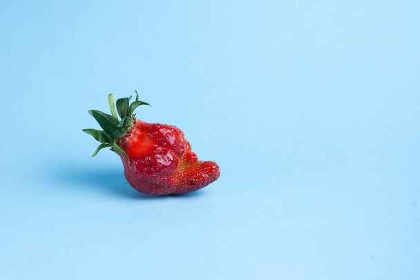 Ugly organic strawberry berry on a light blue background. Place for text. - Fotó, kép