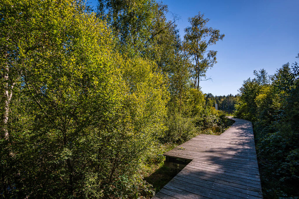 Осенью - туристический поход по природному заповеднику Бургас-Рид
 - Фото, изображение