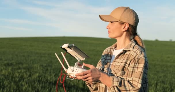 Close up of Caucasian woman farmer in hat standing in green wheat field and controlling of drone which flying above margin. Female using tablet device as controller. Technologies in agriculture. - Metraje, vídeo