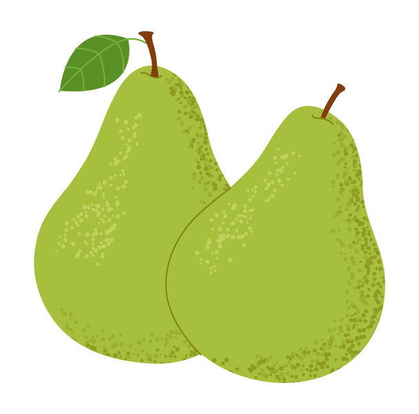 Two green pears isolated on a white background. Flat design. Vector illustration. - Вектор,изображение
