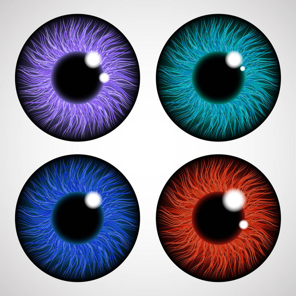 Iris van het menselijk oog. Geïsoleerd op lichte achtergrond. Diverse gekleurde ooglenzen. Realistische vector illustratie. - Vector, afbeelding