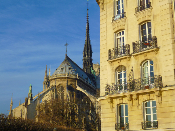 Notre Dame París
 - Foto, Imagen
